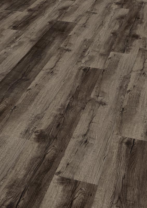 Eiche Golden Ash