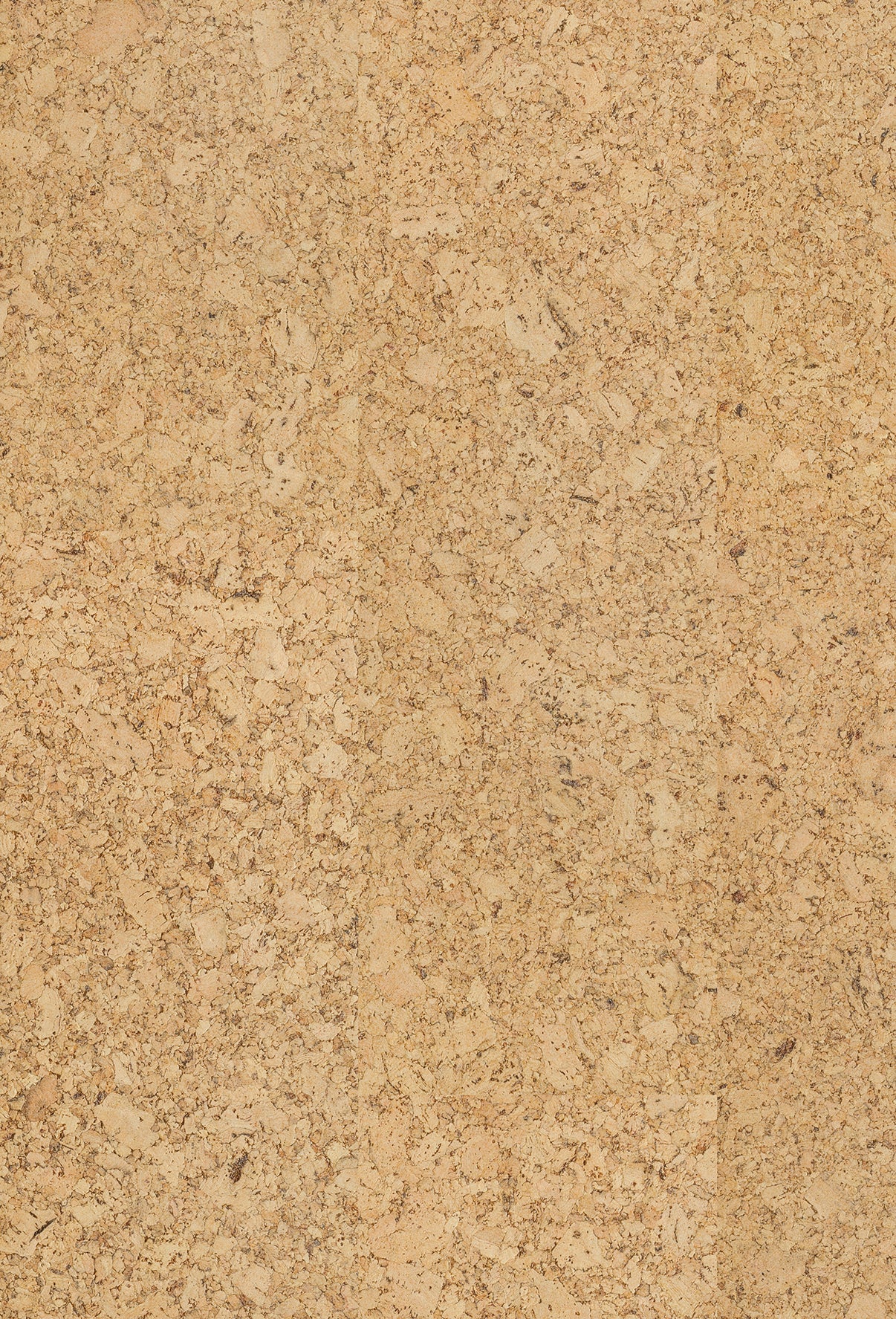 Korkbodenbelag | Ambition | cork Go Amorim