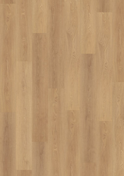 Eiche Klickvinyl Urban Nut