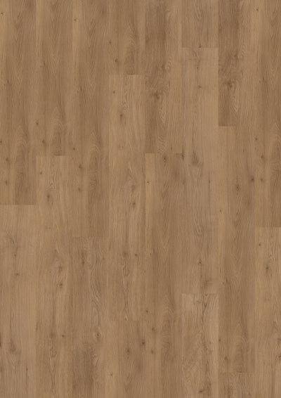 Eiche Klickvinyl Sunny Walnut