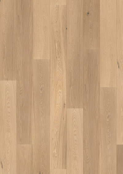 Fertigparkett Eiche Landhausdiele Astillo Weiß