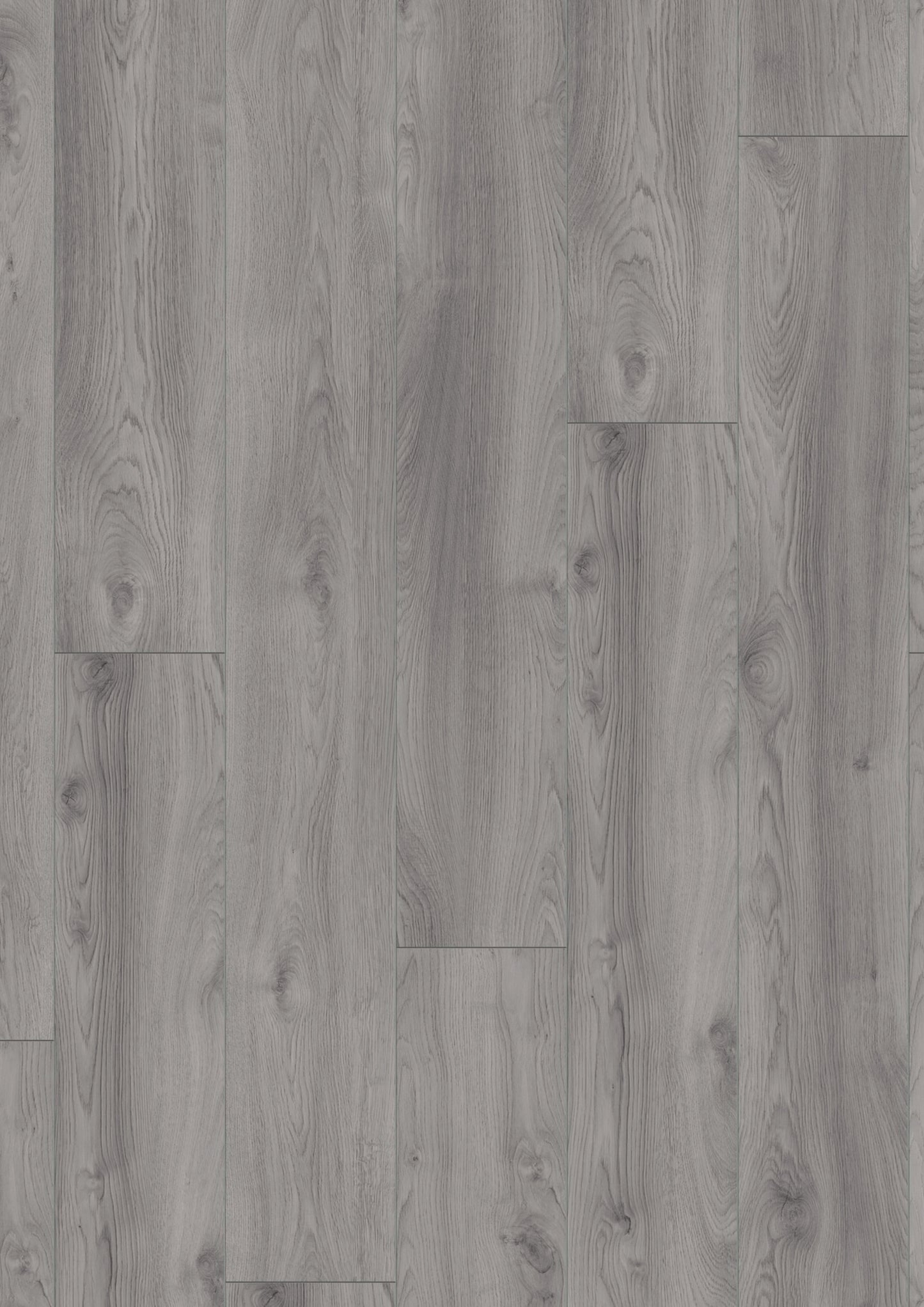 Kronotex Laminat Mammut Plus Makro Eiche Hellgrau D3670