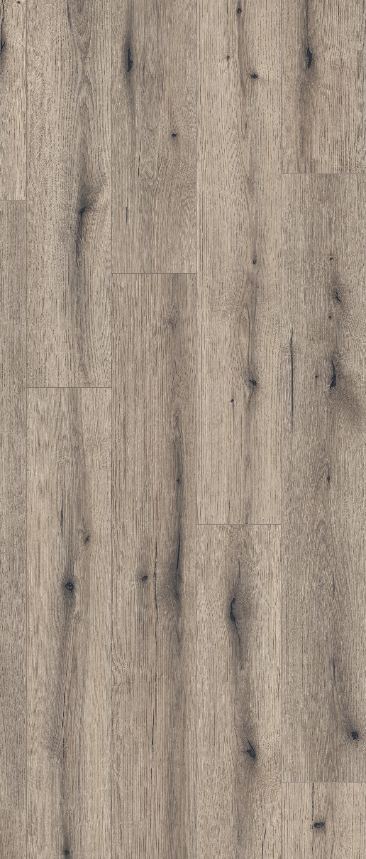 Eiche Australien - Laminat NatureLine