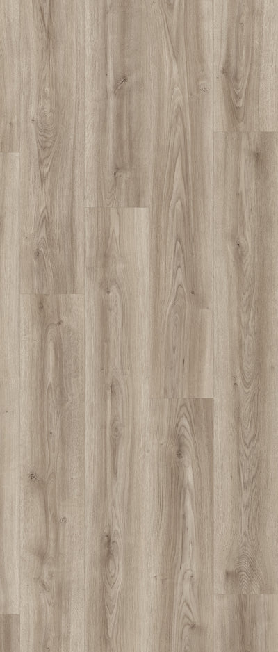 Eiche Sambia - Laminat NatureLine