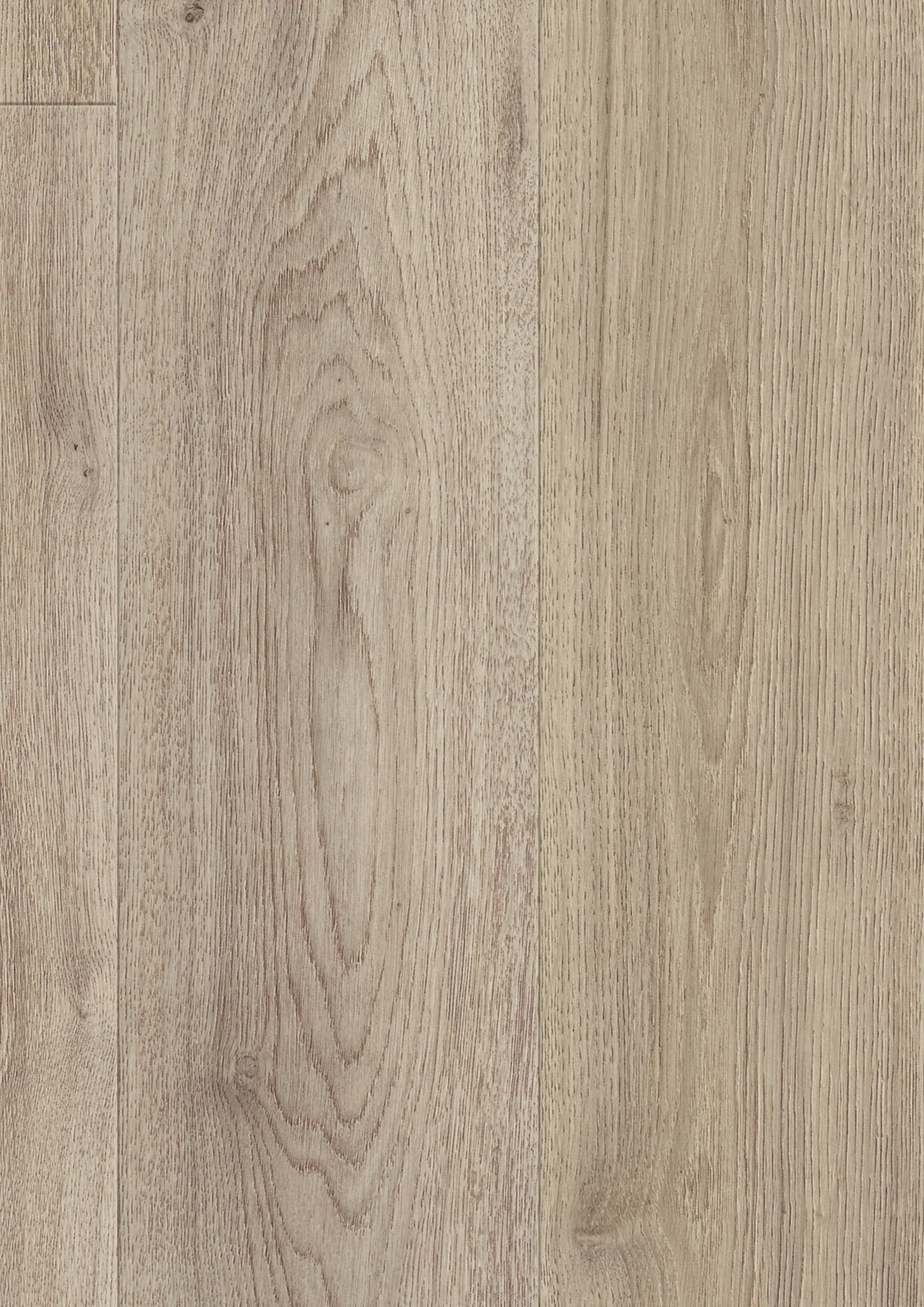 Kronotex HQ Serie Laminat Advanced Klickvinyl Trend Eiche grau D3126