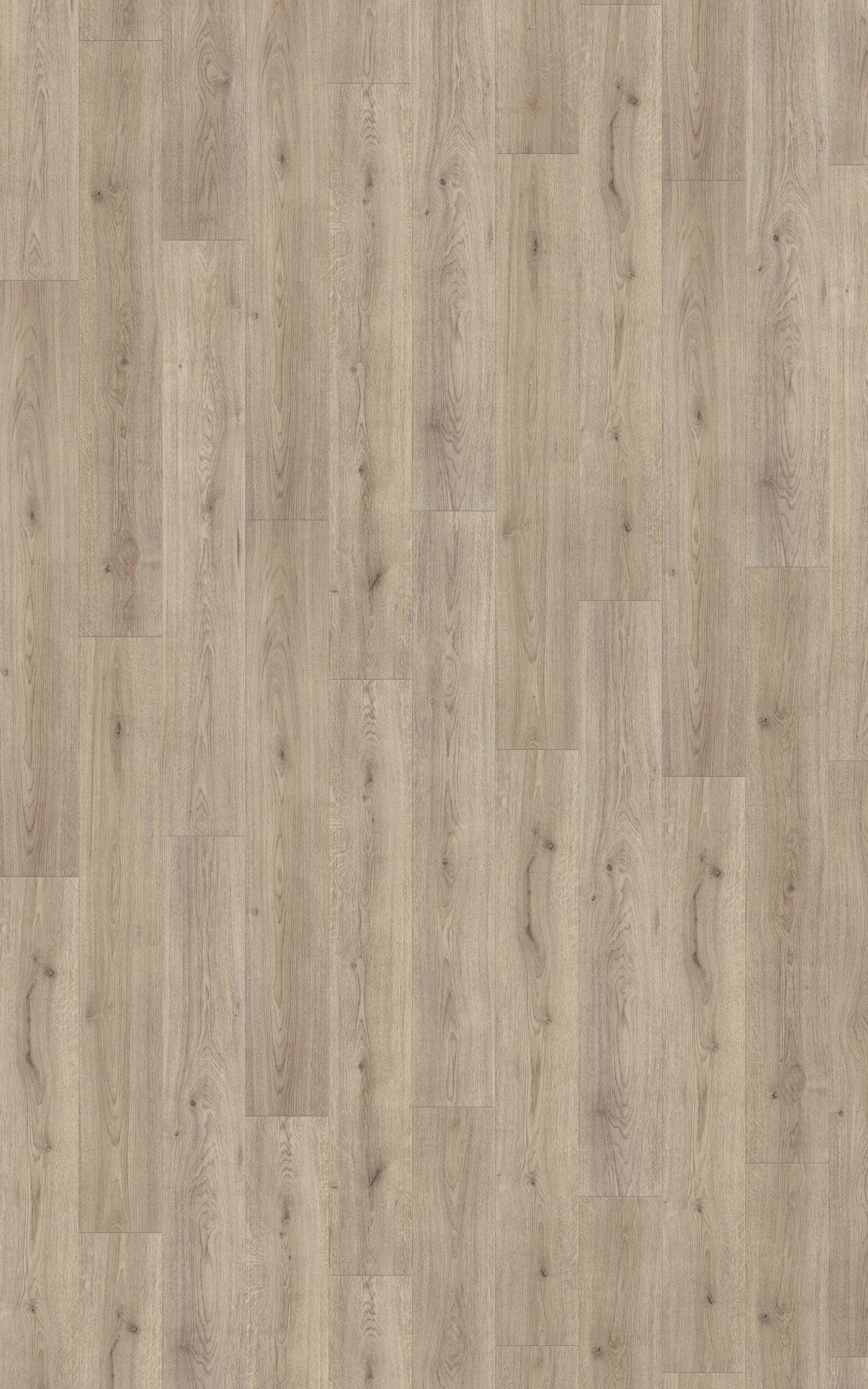 Kronotex HQ Serie Laminat Advanced Klickvinyl Trend Eiche grau D3126