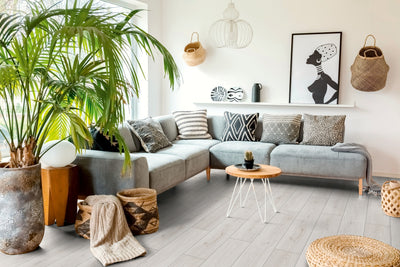 Kronotex Serie Laminat Advanced Trend Eiche weiß D3201