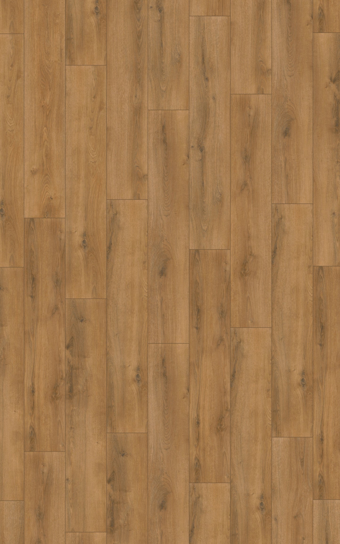 Kronotex Serie Laminat Advanced Plus Sommer Eiche D3901