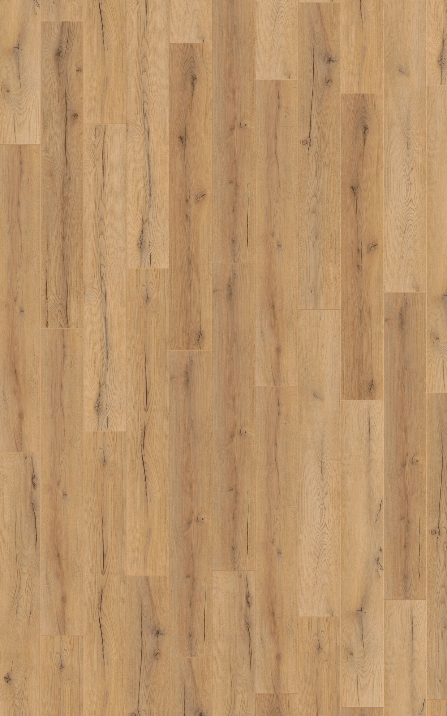 Kronotex HQ Serie Laminat Advanced Century Oak beige / Indiana Eiche D4176