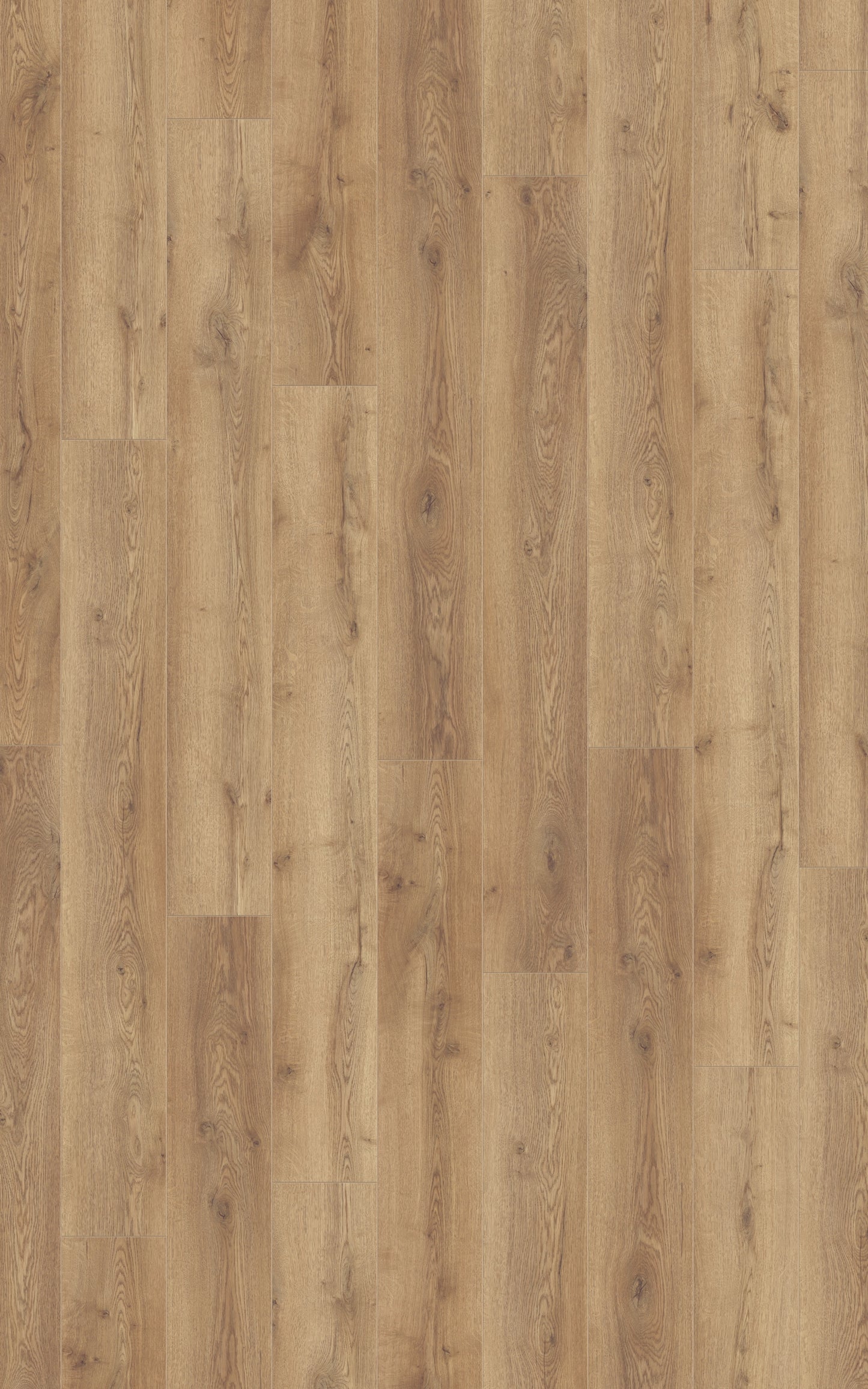 Kronotex Laminat Mammut Plus Berg Eiche Natur D4725