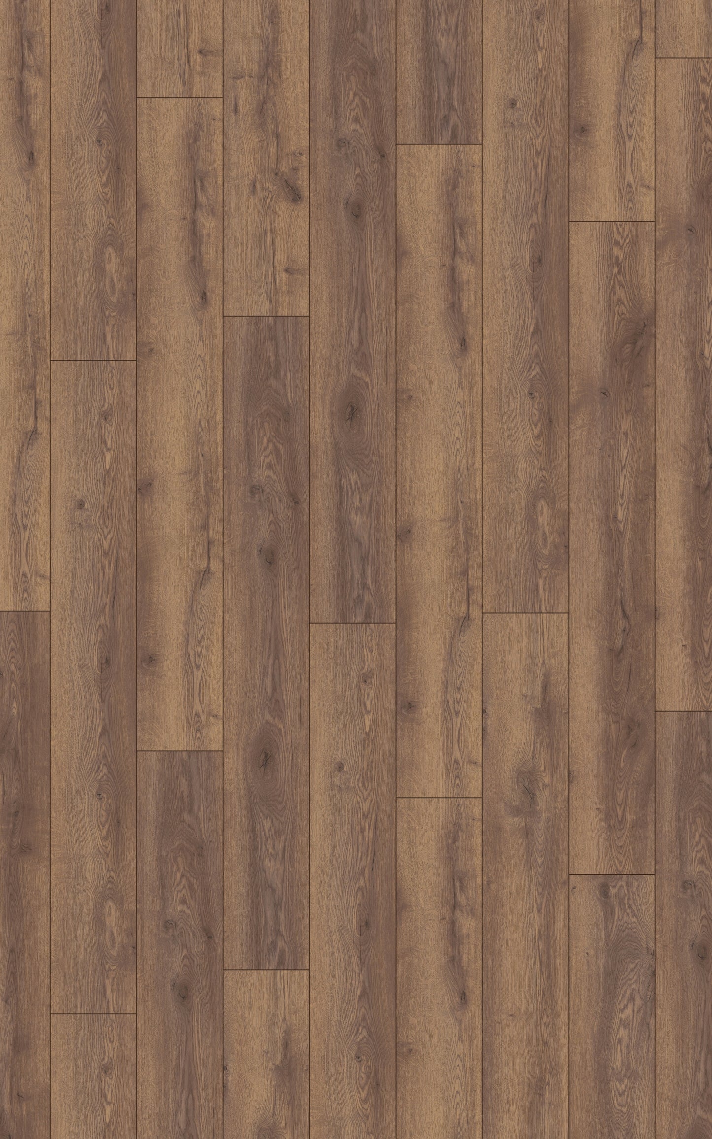 Kronotex Laminat Mammut Plus Berg Eiche braun D4726