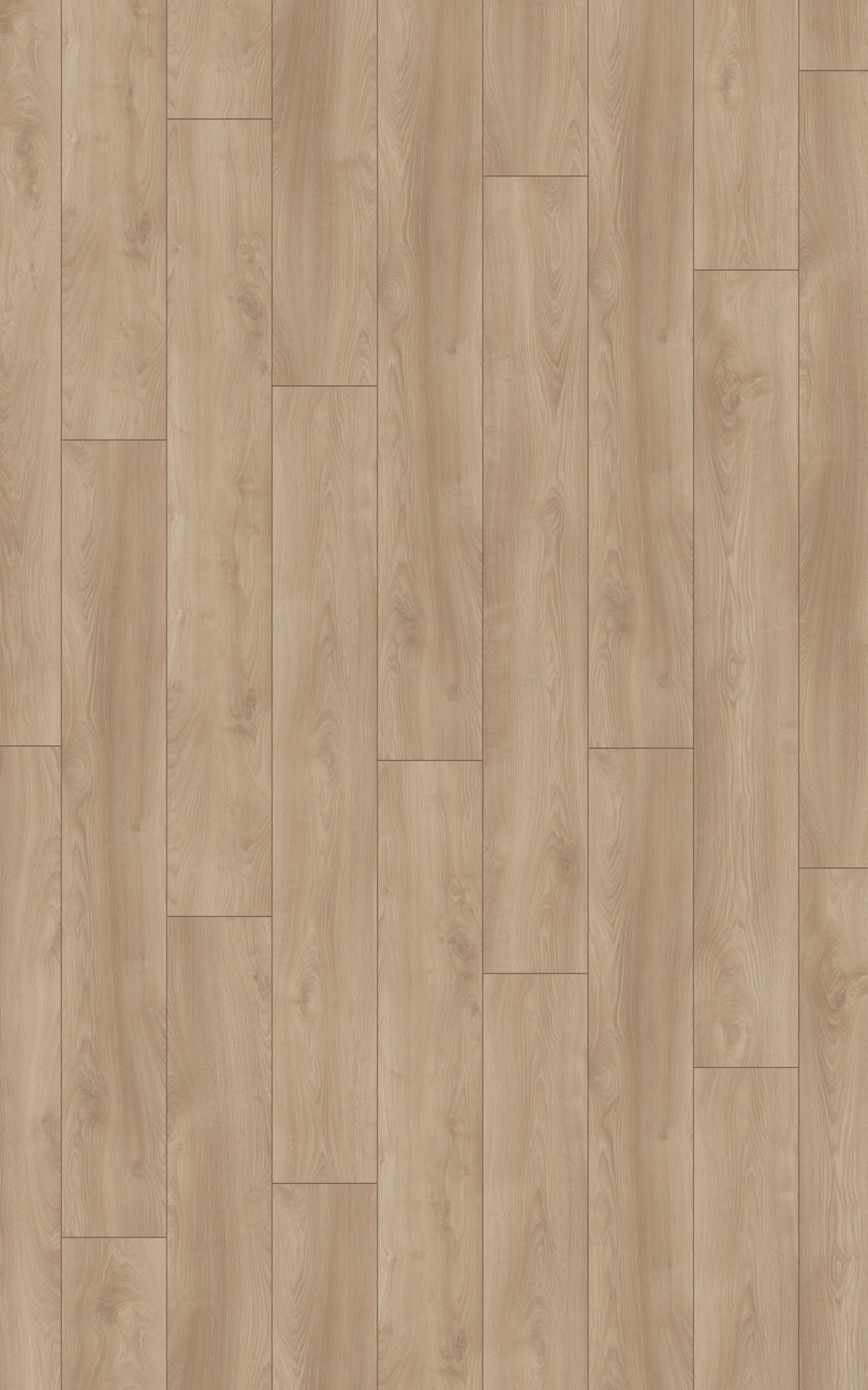 Kronotex Laminat Mammut Plus Makro Eiche Hell D4752