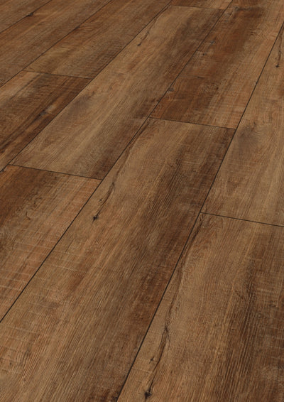 Kronotex Laminat Exquisit Plus Gala Eiche Natur D4783