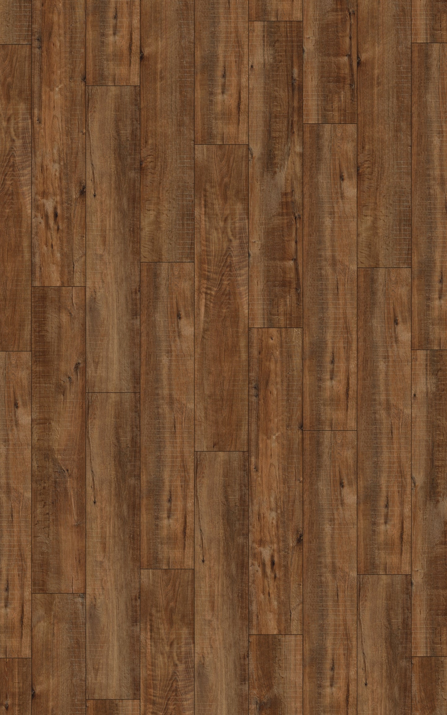 Kronotex Laminat Exquisit Plus Gala Eiche Natur D4783