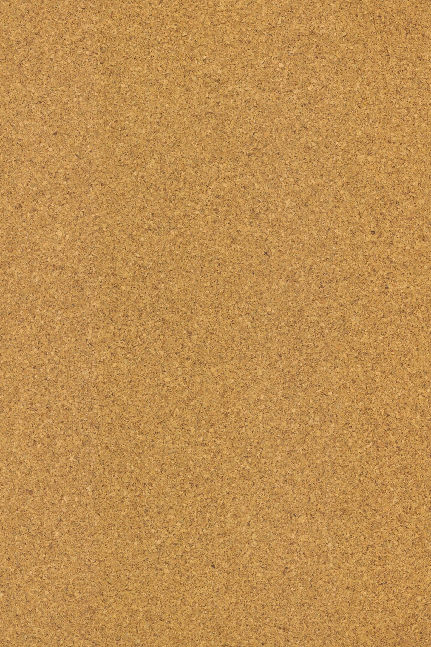 Korkbodenbelag | Moment | cork Go Amorim