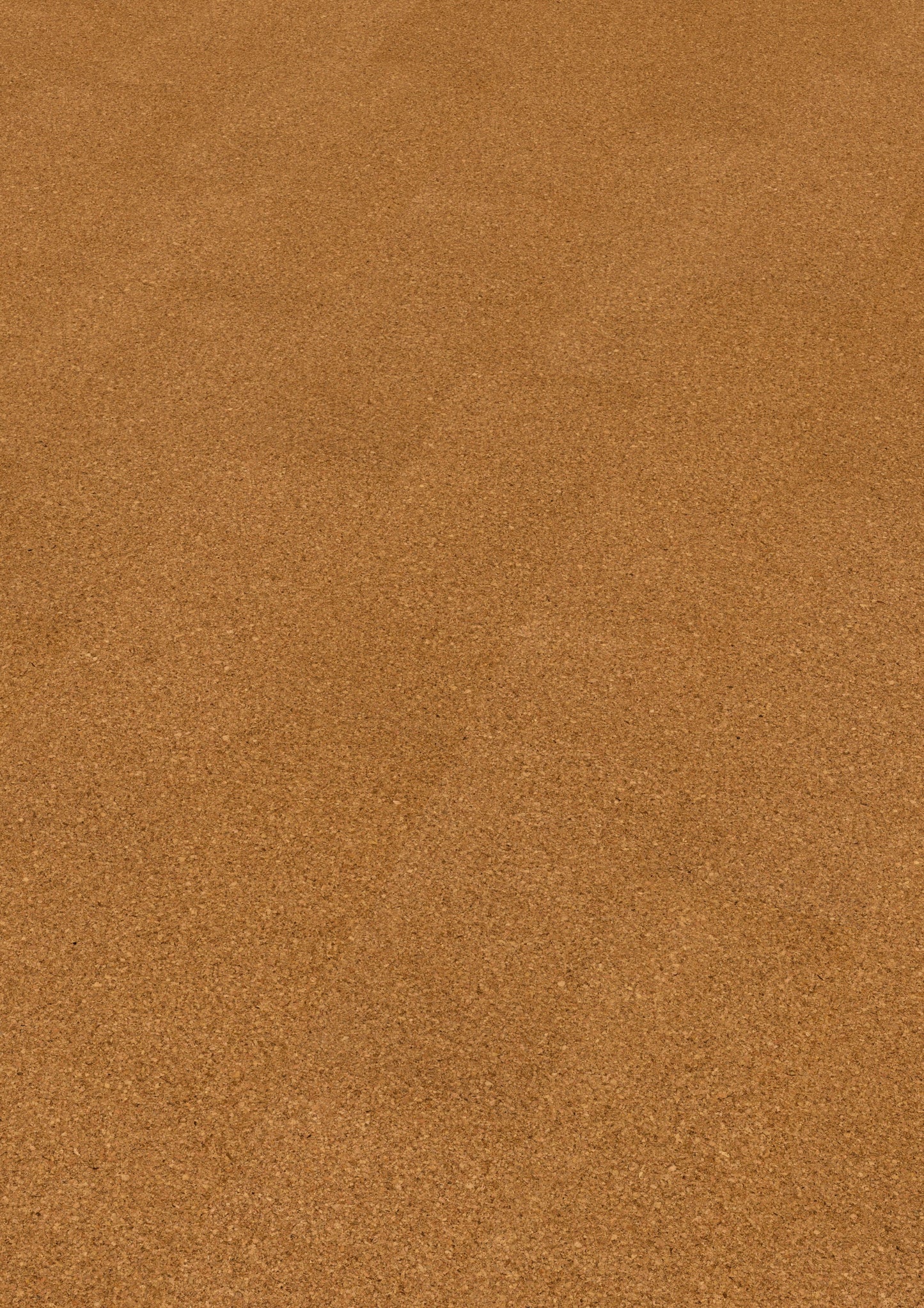 Korkbodenbelag | Moment | cork Go Amorim