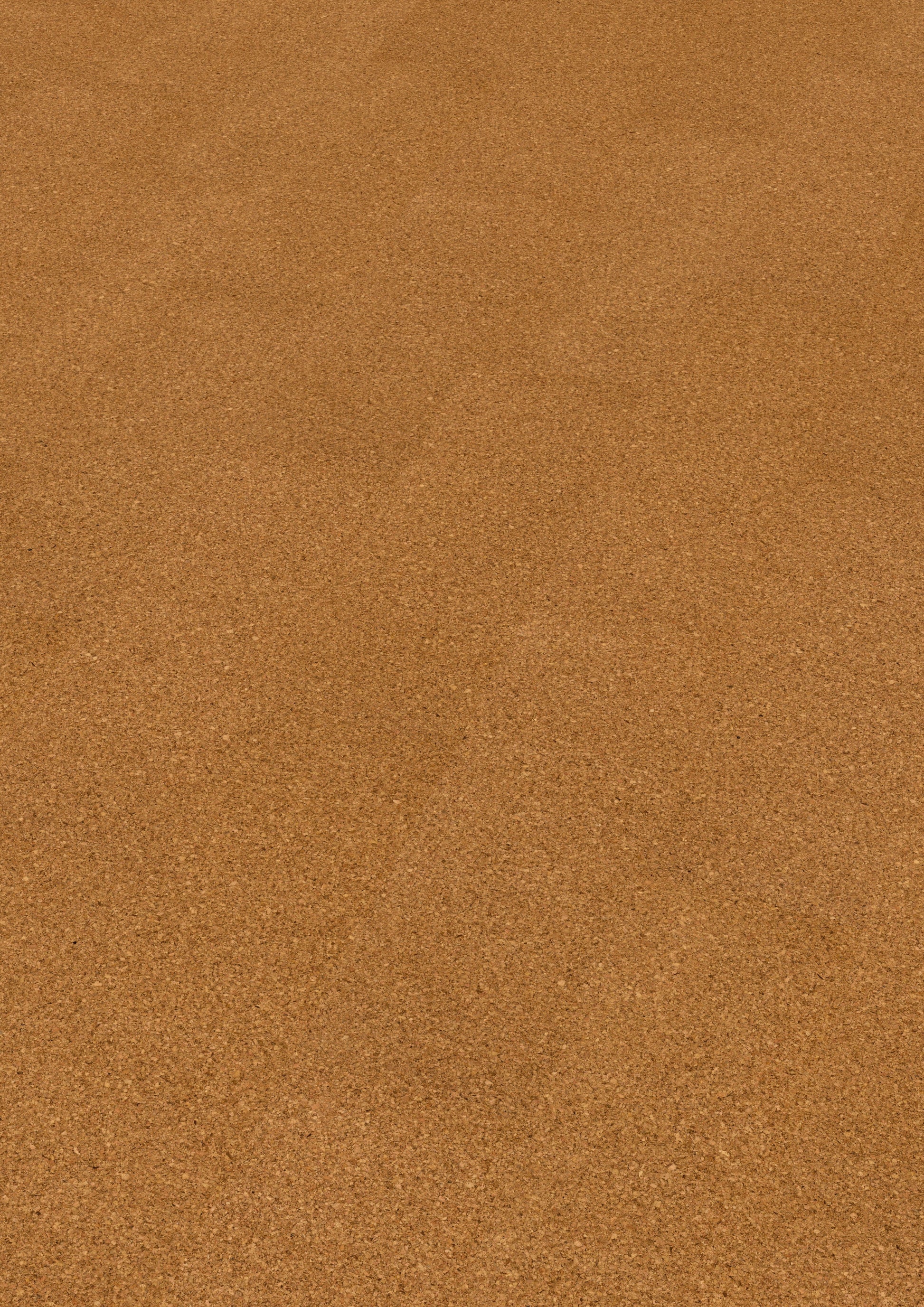 Korkbodenbelag | Moment | cork Go Amorim