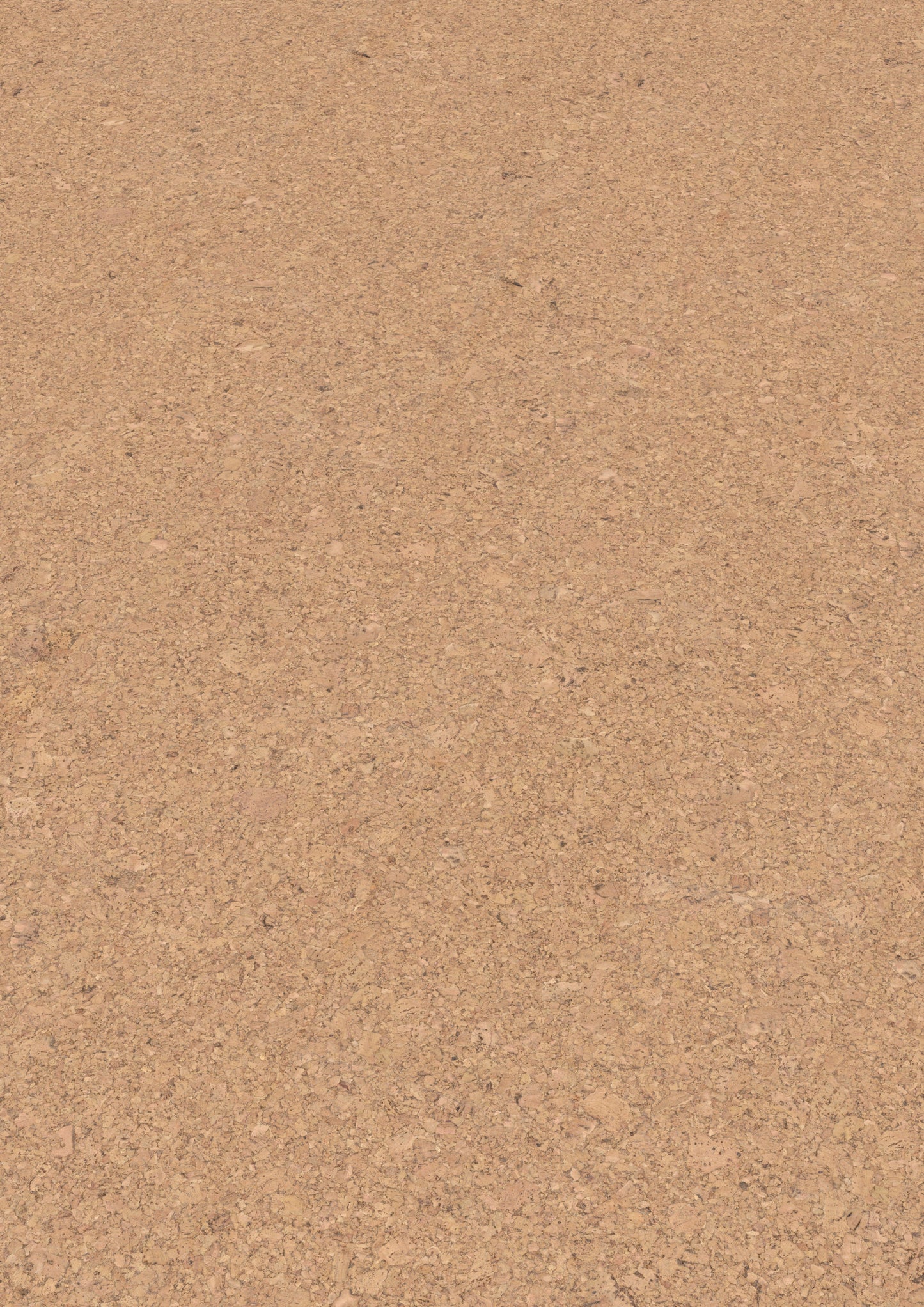 Korkbodenbelag | Ambition | cork Go Amorim