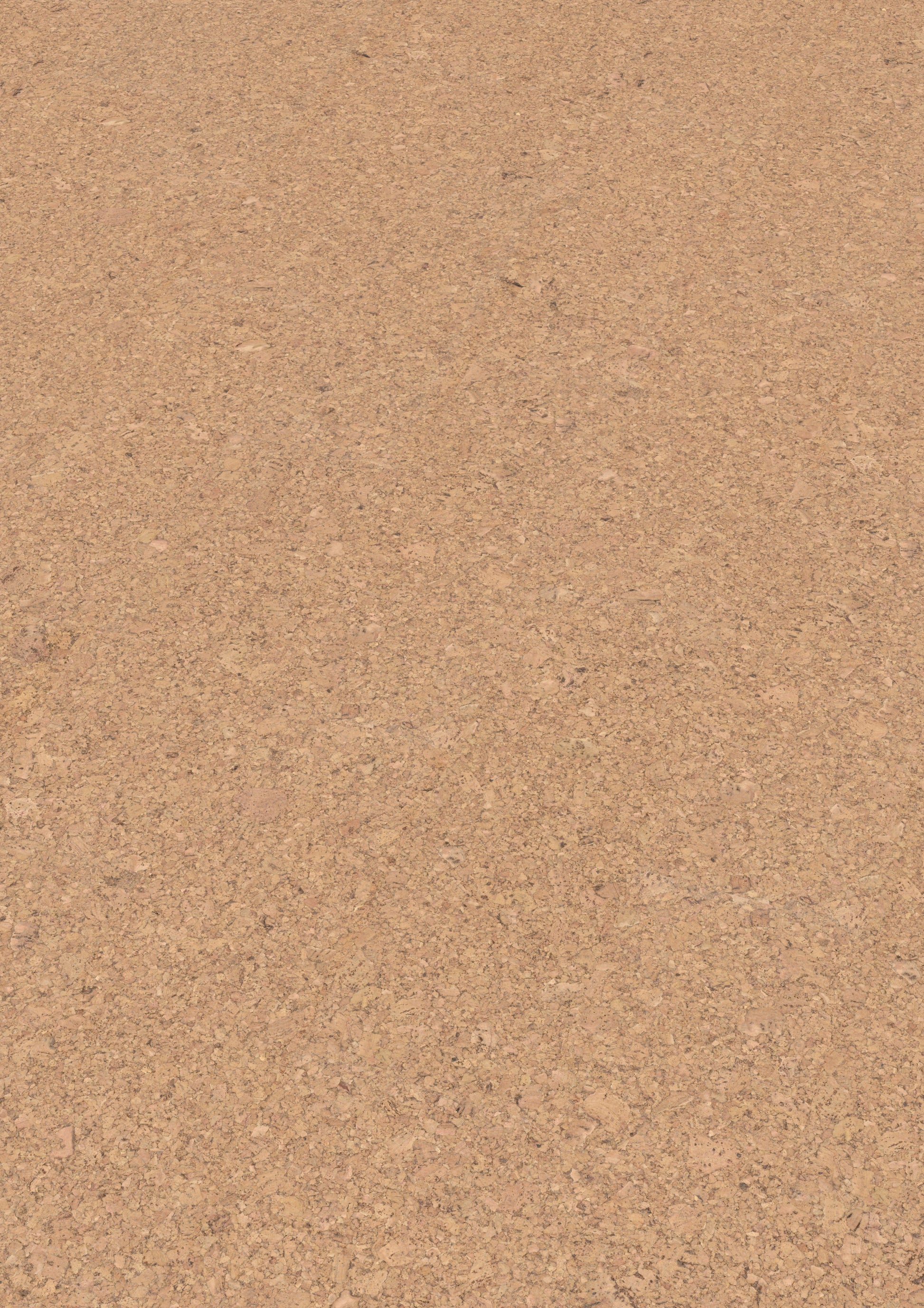 Korkbodenbelag | Ambition | cork Go Amorim