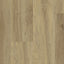 Gerflor Virtuo 55 Glue Down | BAITA MEDIUM 1025