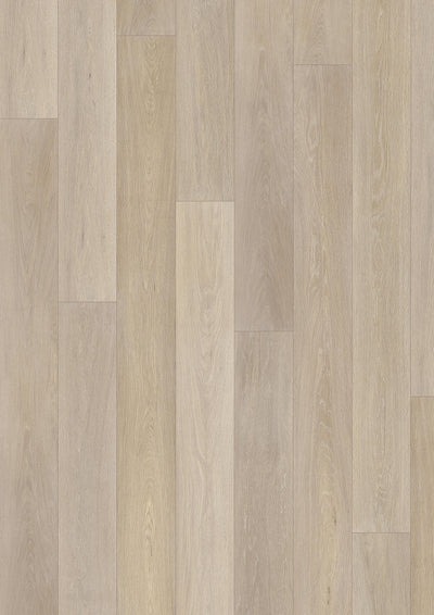 Parkett | Abana Weiß | Der Preisbrecher