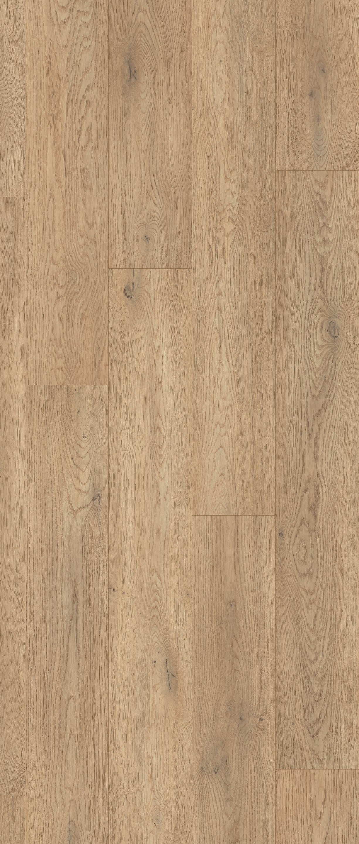 Eiche Venezuela - Laminat NatureLine