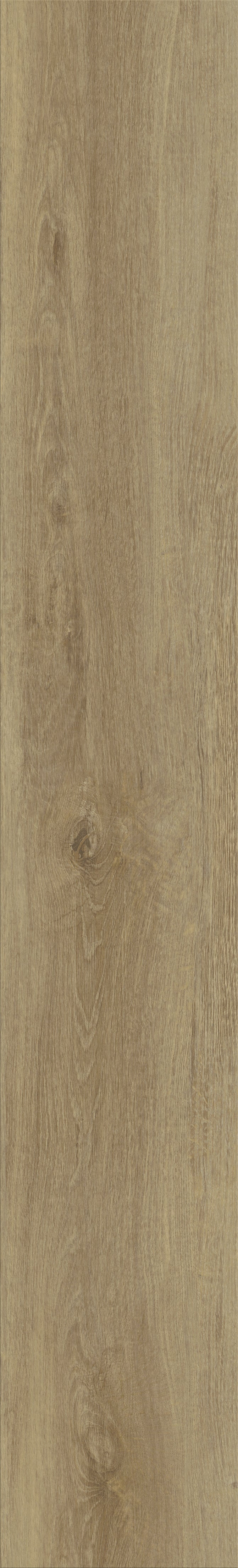 Gerflor Virtuo 55 Glue Down | BAITA MEDIUM 1025