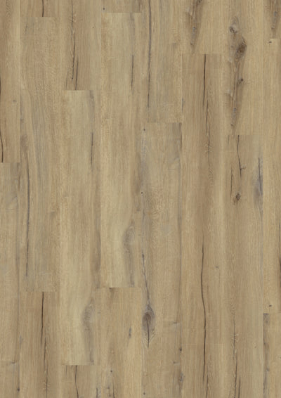 Gerflor Virtuo 55 Rigid AC | DAINTREE BROWN 1010