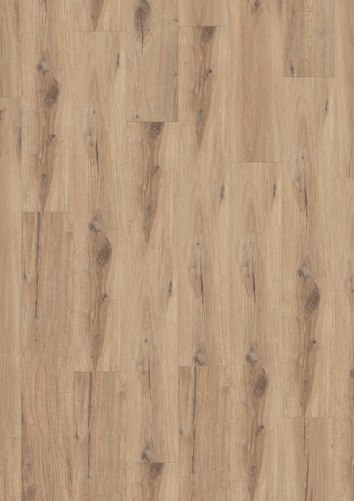 Gerflor Virtuo 55 Rigid AC | DAINTREE HONEY 1455