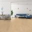 Gerflor Virtuo 30 Rigid AC | BLOMMA CLEAR (EIR) 1462