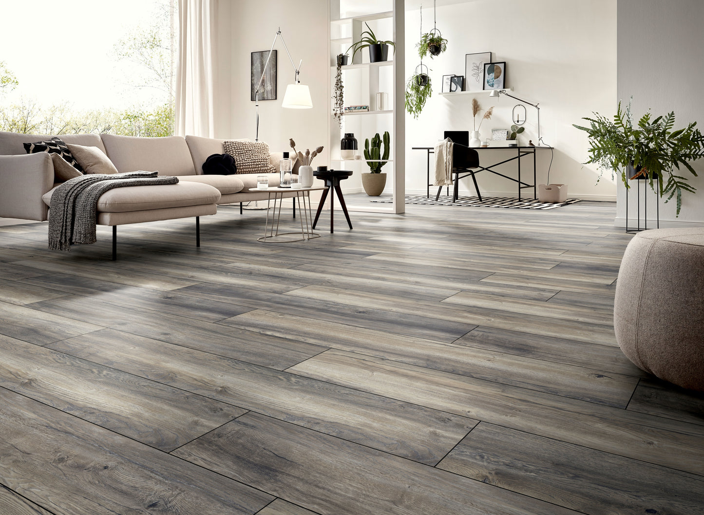 Kronotex Laminat Exquisit Plus Click Eiche Blackpool / Harbour Oak Grey D3572