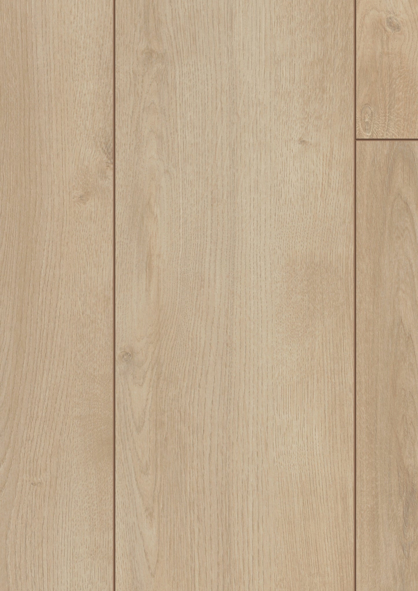 Kronotex Serie Laminat Advanced Plus Click Sommer Eiche beige D3902