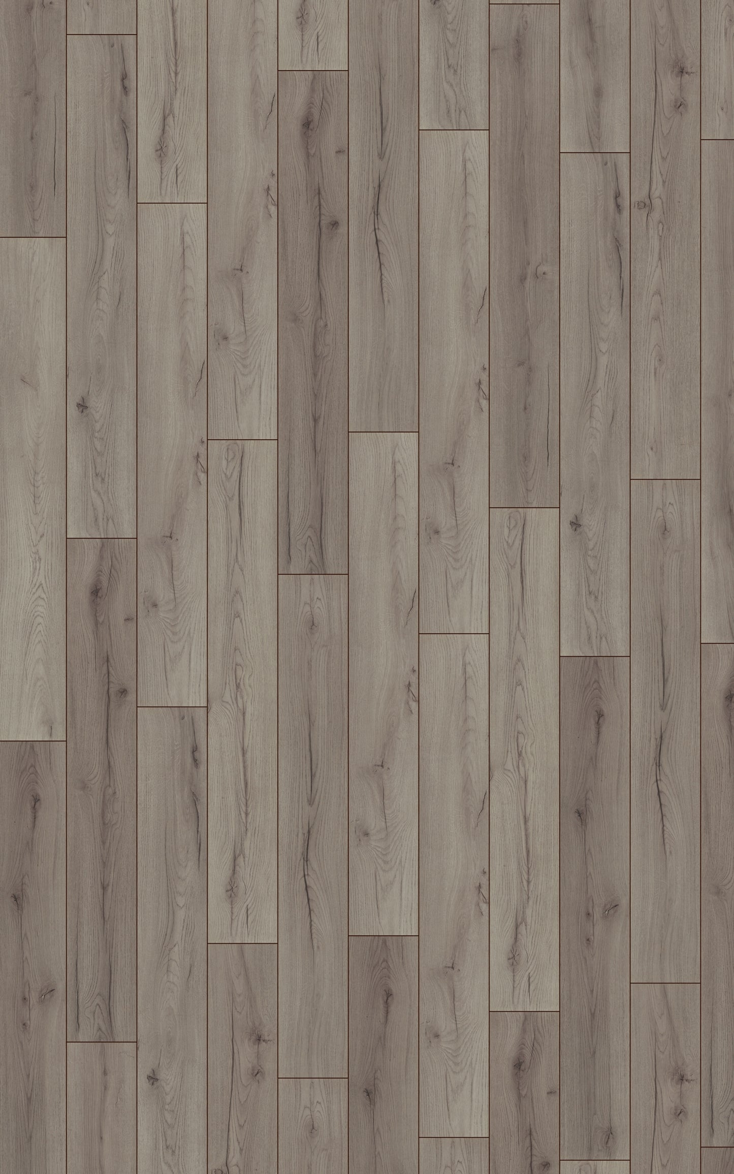 Kronotex Serie Laminat Advanced Click Century Oak grey D4175