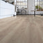 Kronotex Laminat Mammut Plus Click Berg Eiche beige / Eiche Topeka D4728