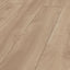 Kronotex Laminat Mammut Plus Click Makro Eiche Hell D4752