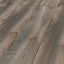 Kronotex Laminat Mammut Plus Click Makro Eiche Grau D4792