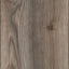 Kronotex Laminat Mammut Plus Click Makro Eiche Grau D4792