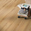 Kronotex Laminat Exquisit Plus Click Arizona Eiche Natur D80052